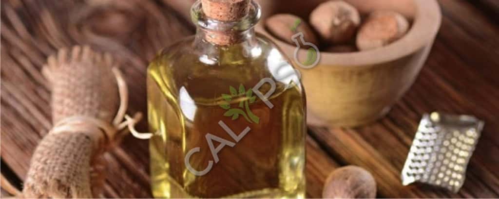 100% Pure Organic Nutmeg Spice Oil